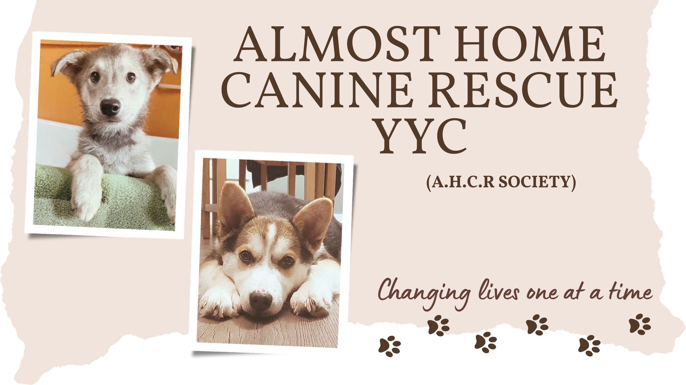 Almost Home Canine Rescue Banner Image